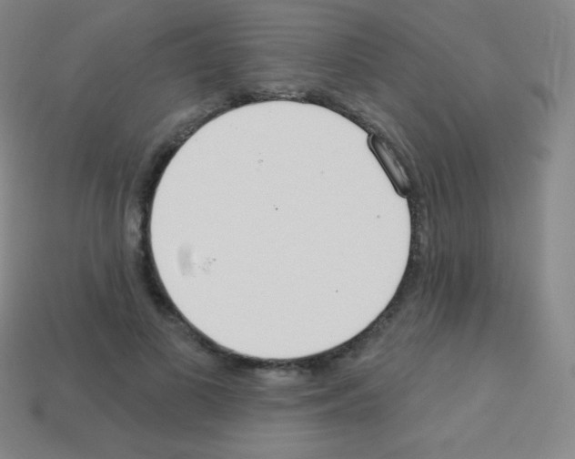 X0000113100693200910091139