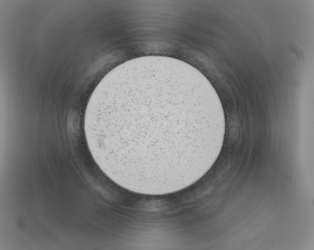 X0000113100695200910091139