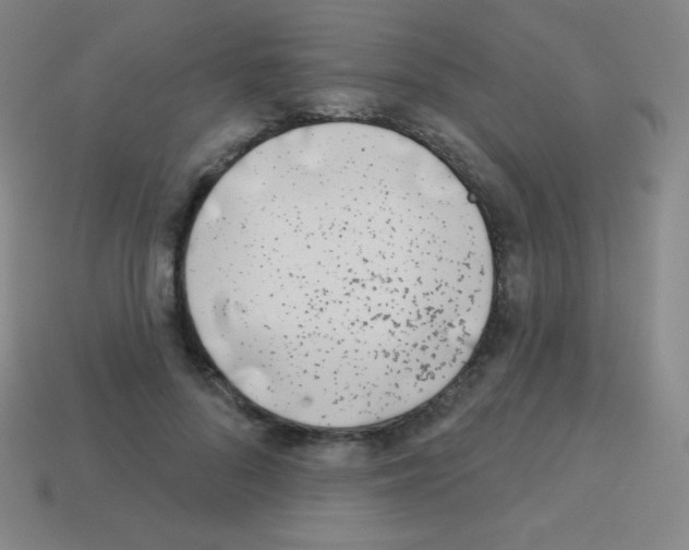 X0000113100696200910091139