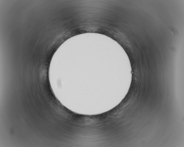 X0000113100697200910091139