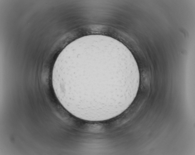 X0000113100698200910091139