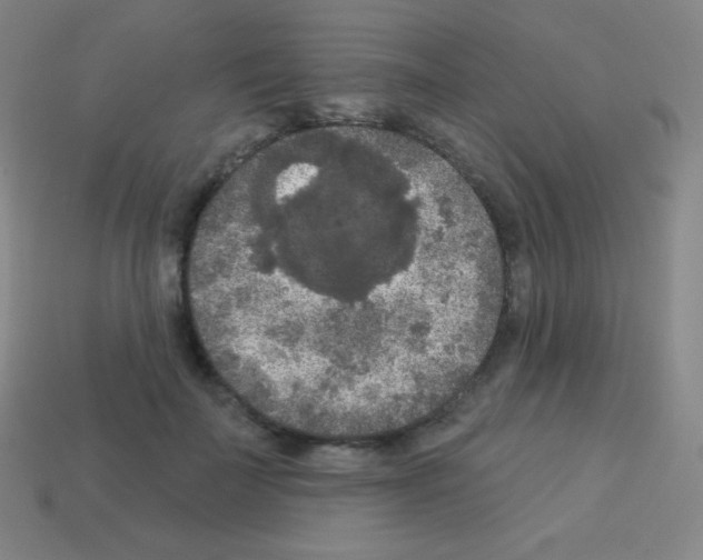 X0000113100699200910091139