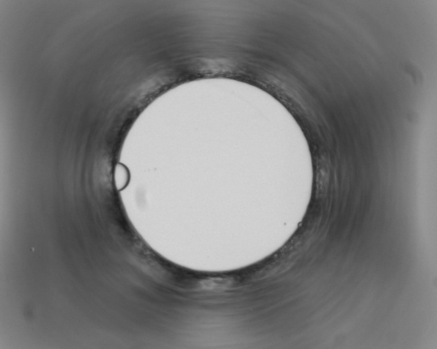 X0000113100700200910091139