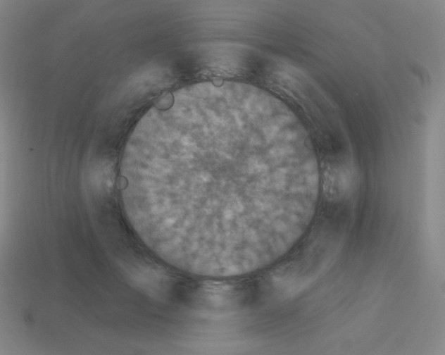 X0000113100701200910091139