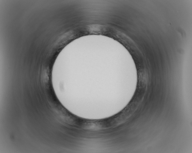 X0000113100702200910091139