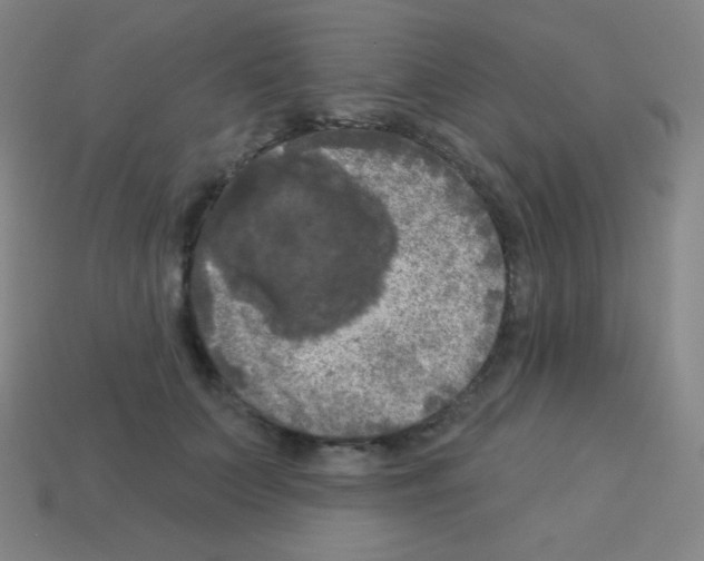 X0000113100703200910091139