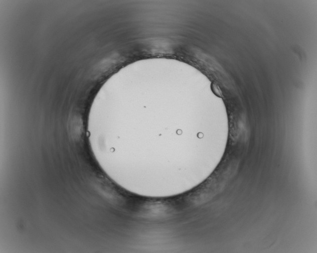 X0000113100704200910091139