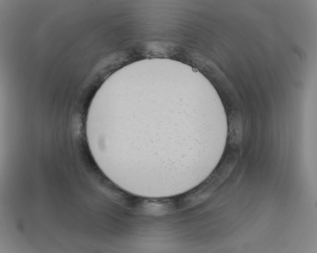 X0000113100706200910091139