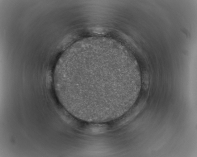 X0000113100707200910091139