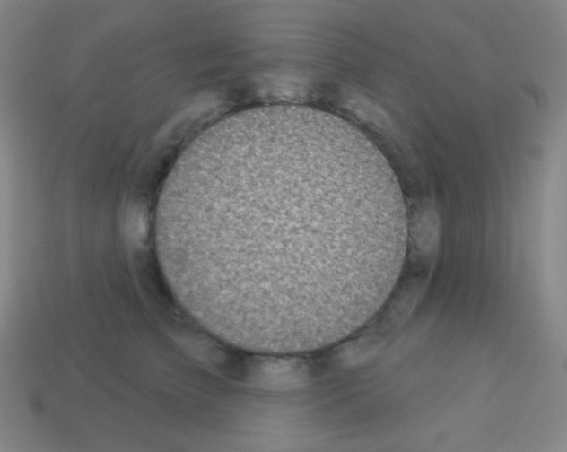 X0000113100709200910091139