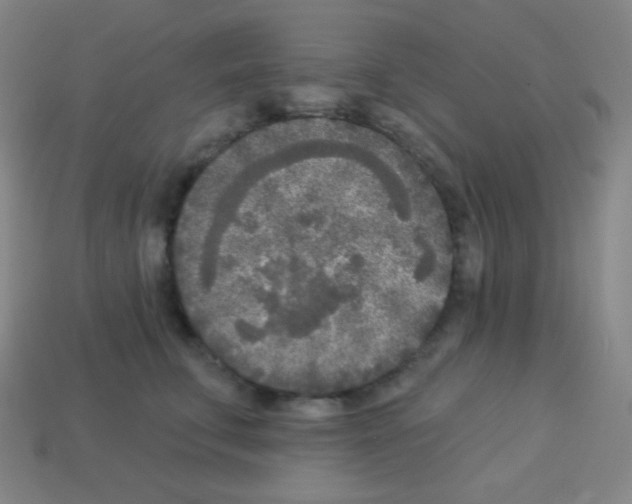 X0000113100711200910091139