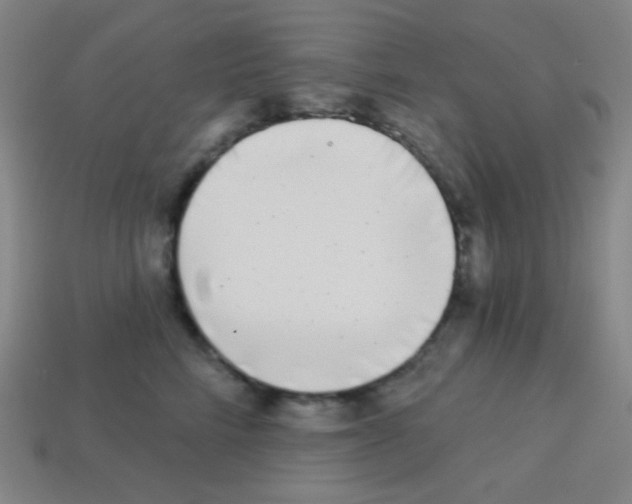 X0000113100712200910091139