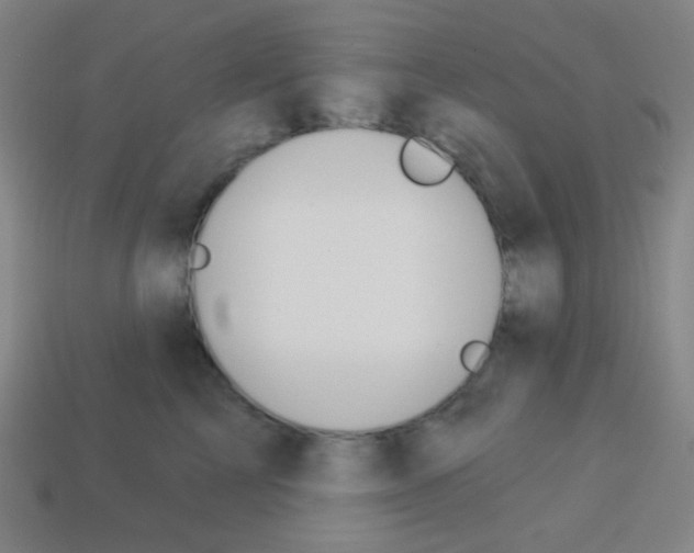 X0000113100713200910091139