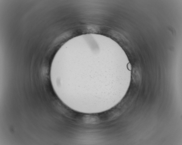 X0000113100714200910091139