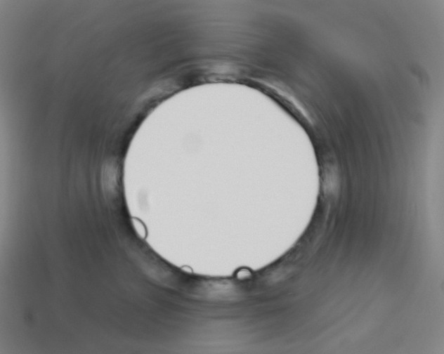 X0000113100715200910091139