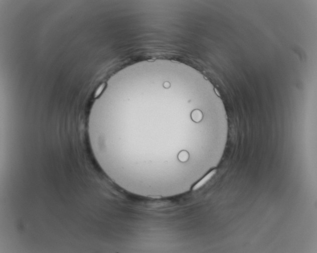 X0000113100716200910091139