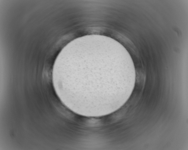 X0000113100718200910091139