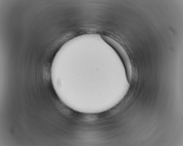X0000113100719200910091139