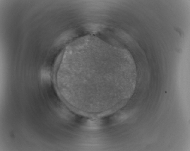 X0000113100720200910091139