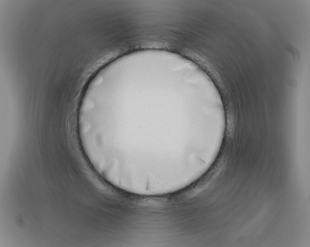 X0000113100721200910091138