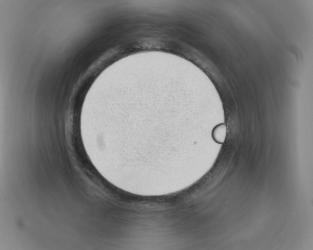 X0000113100722200910091138