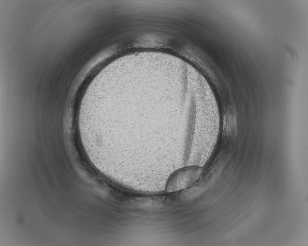 X0000113100724200910091138