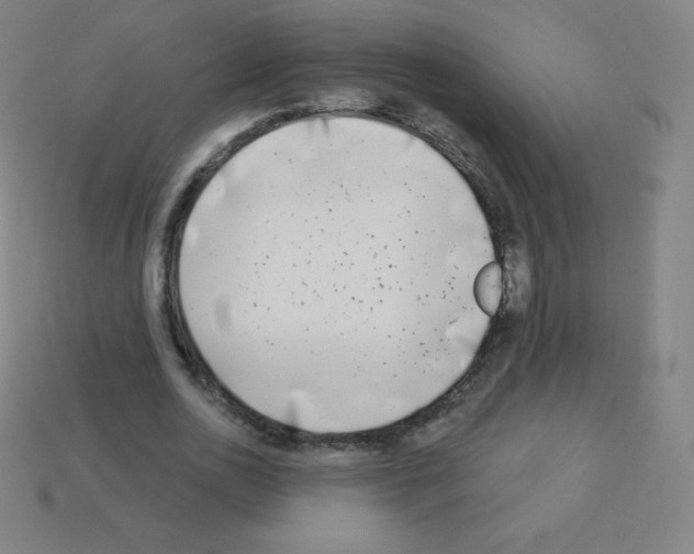 X0000113100726200910091138