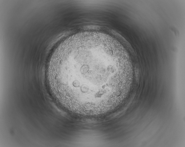 X0000113100729200910091139