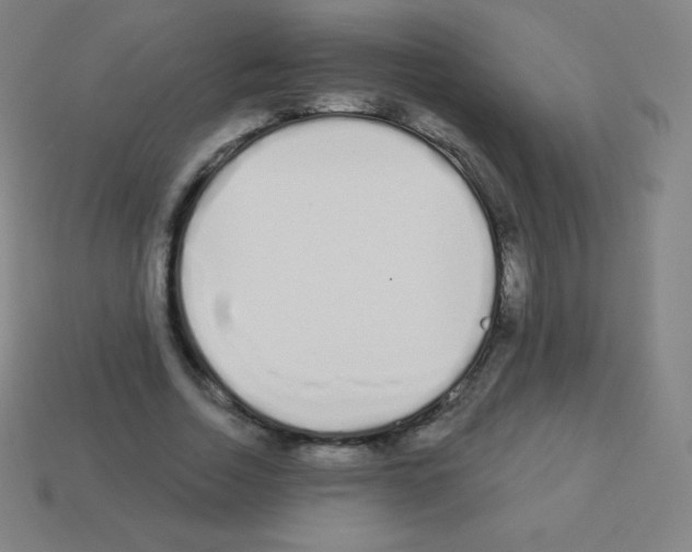 X0000113100730200910091139