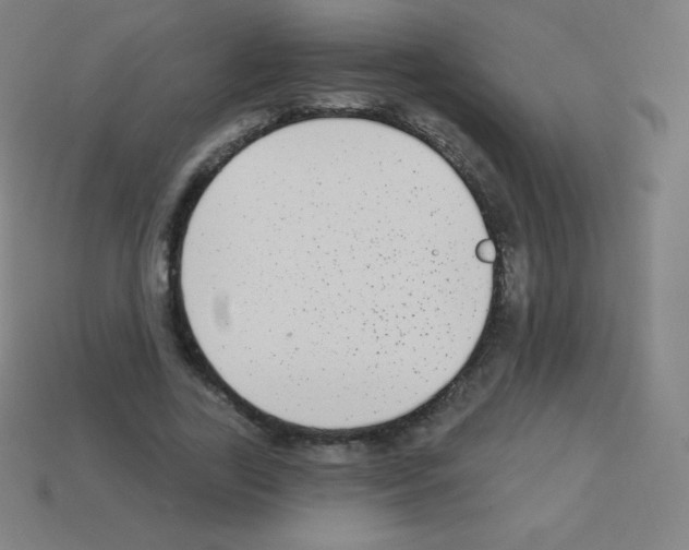 X0000113100731200910091139