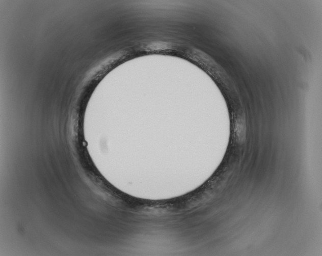X0000113100732200910091139