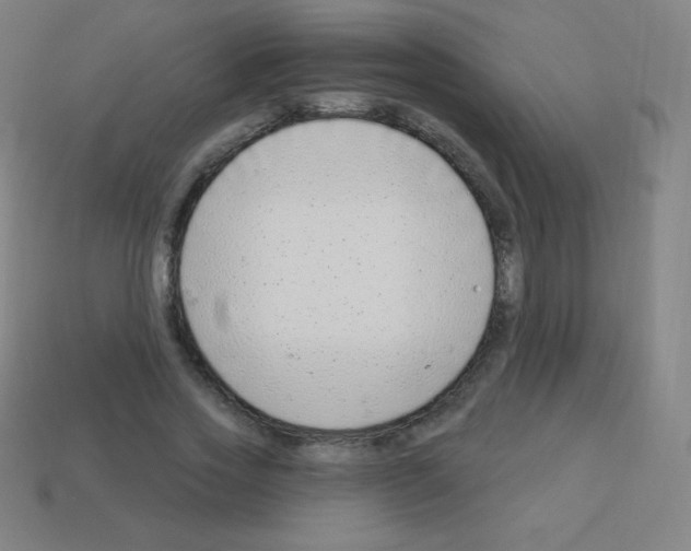 X0000113100733200910091139