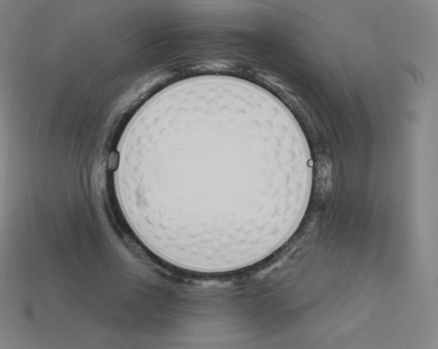 X0000113100734200910091139