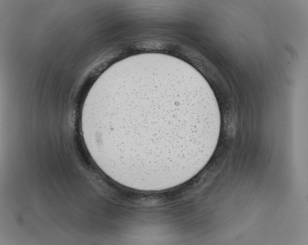 X0000113100735200910091139