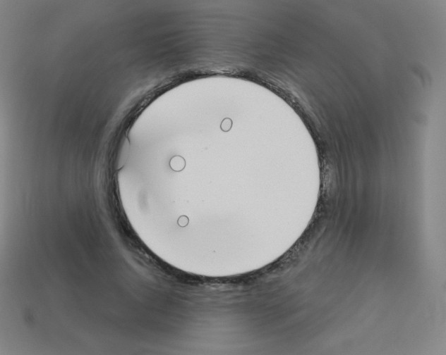 X0000113100736200910091139