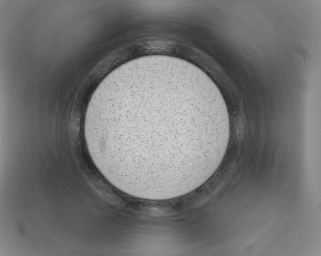 X0000113100737200910091139