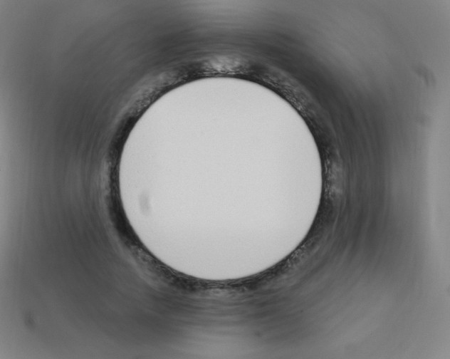 X0000113100738200910091139