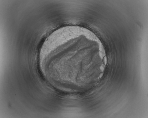 X0000113100739200910091139