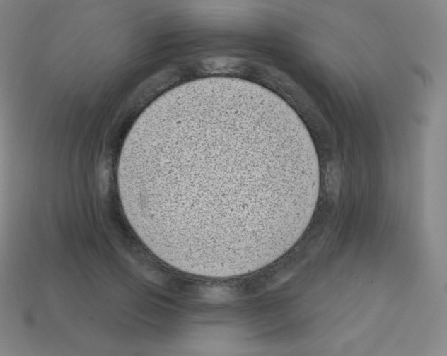 X0000113100741200910091139