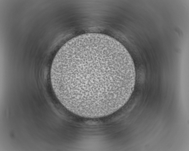 X0000113100742200910091139