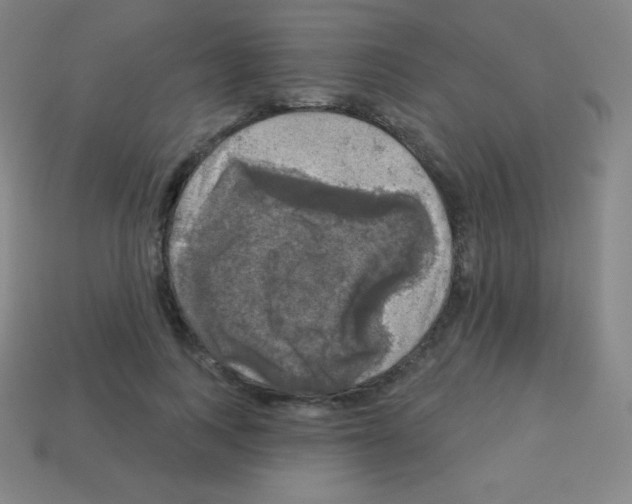 X0000113100743200910091139