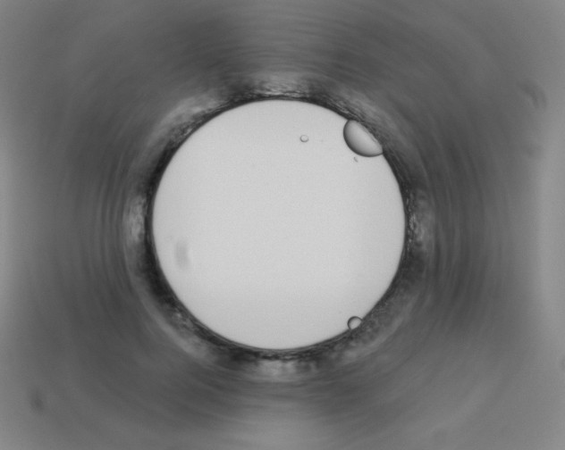 X0000113100744200910091139
