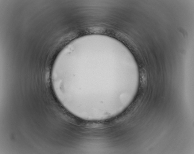 X0000113100745200910091139