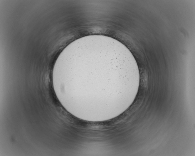 X0000113100746200910091139