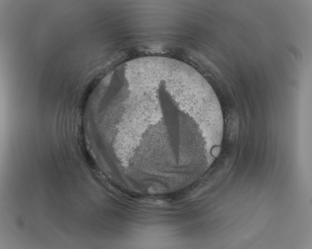 X0000113100747200910091139