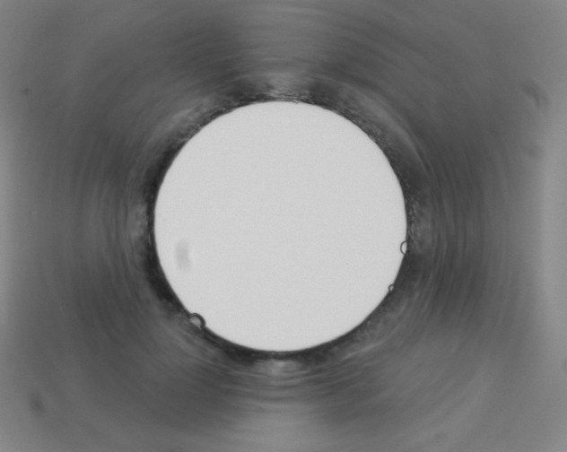 X0000113100748200910091139