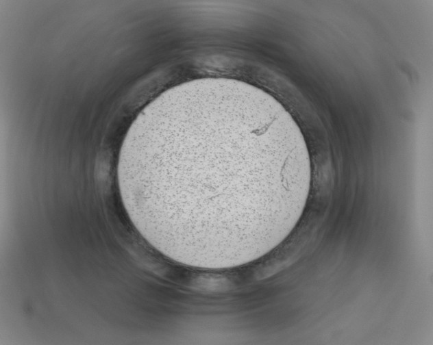 X0000113100749200910091139