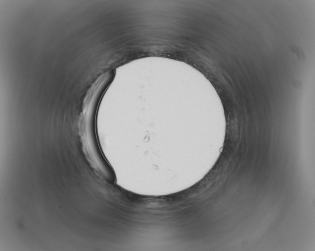 X0000113100750200910091139