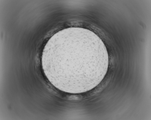 X0000113100751200910091139