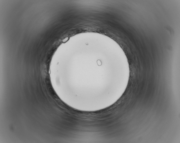 X0000113100752200910091139